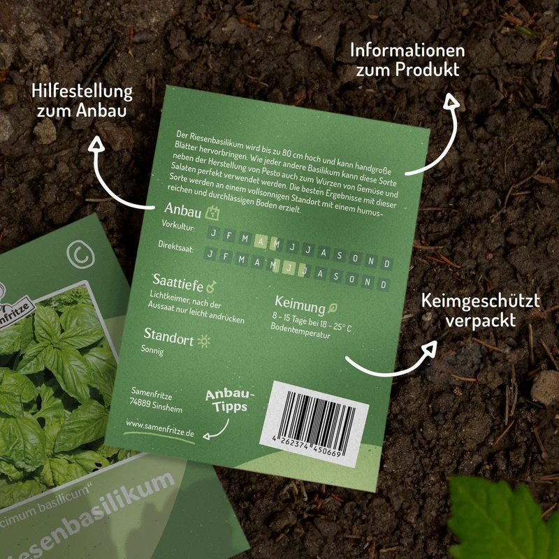 Riesenbasilikum Lettuce leaved Samen, Ocimum basilicum