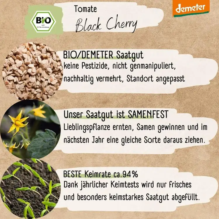 Demeter Black Cherry Samen