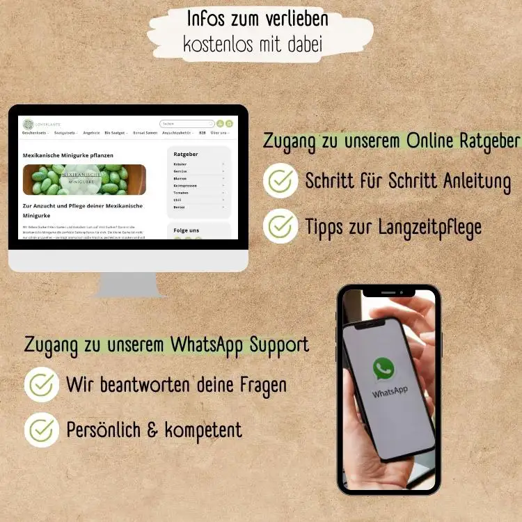 Demeter Mexikanische Minigurken Samen