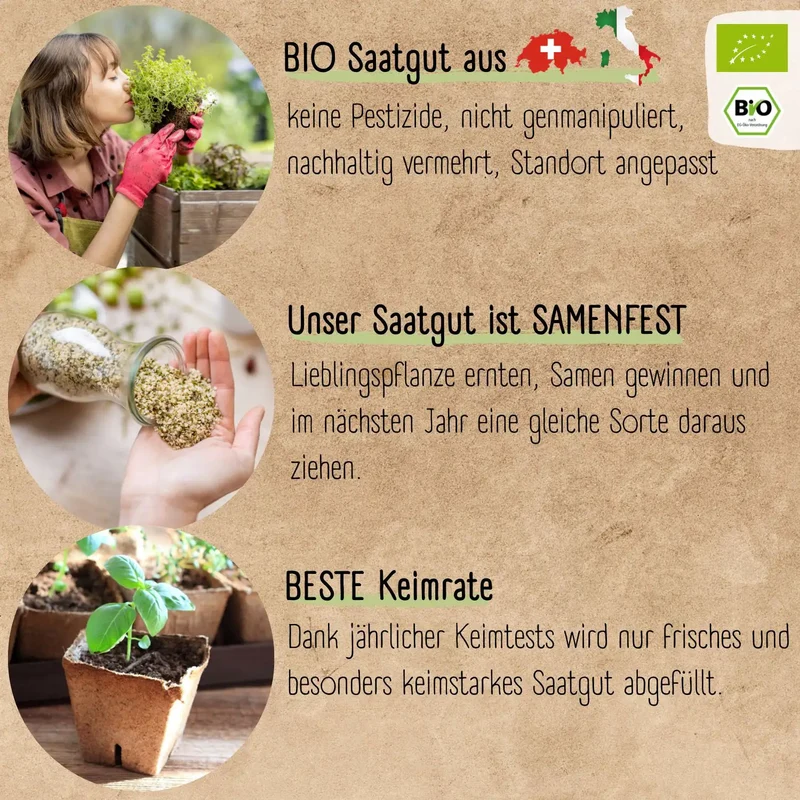 Kräuter Starter Set