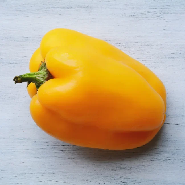 Pepper: Quadrato d’Asti giallo Organic Seed