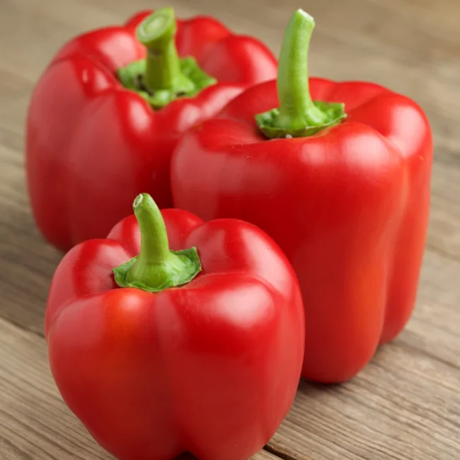 Pepper: Yolo Wonder - Red Bell Pepper Organic Seed