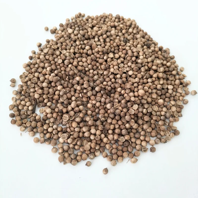 Organic Microgreen Seed: Whole Coriander
