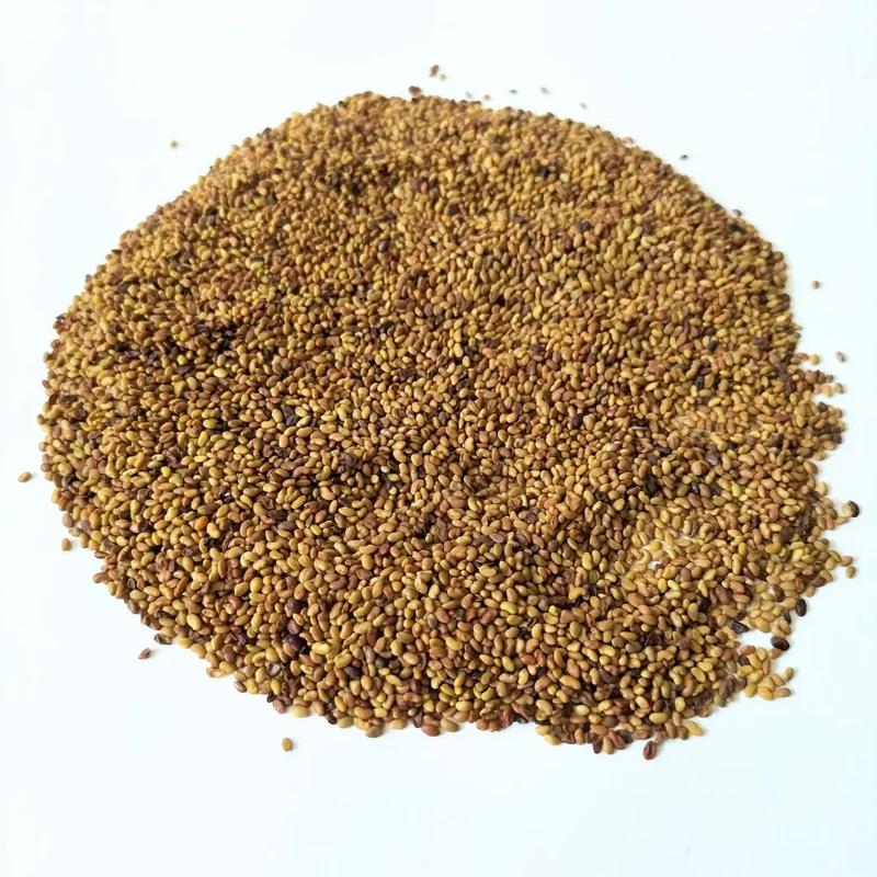 Organic Sprouting Seed: Alfalfa