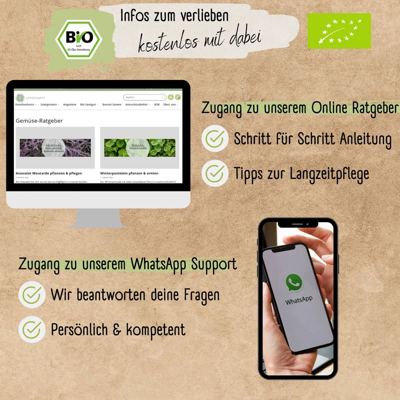 Bio Russische Gurke Samen