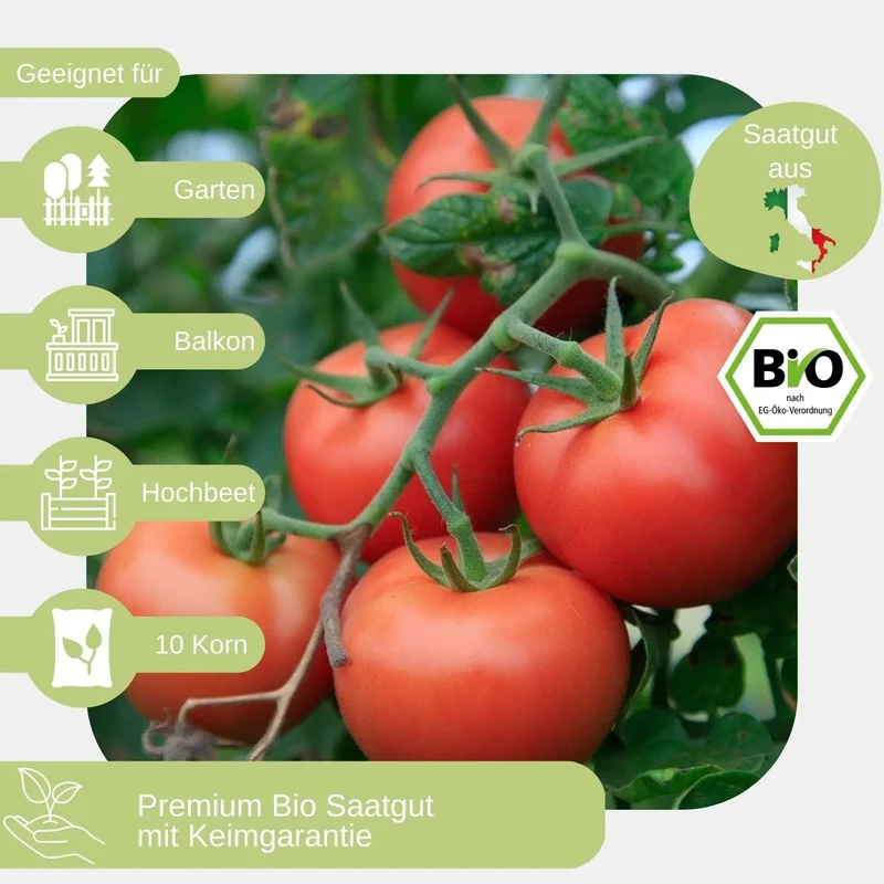 Bio Fleischtomate Berner Rose Samen