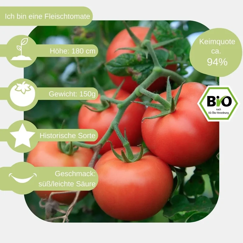 Bio Fleischtomate Berner Rose Samen