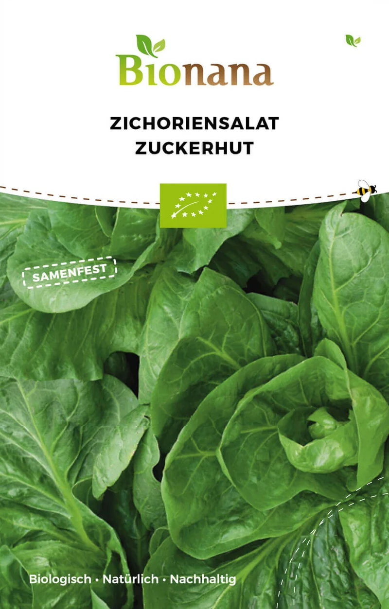 Zuckerhut | BIO Zuckerhutsamen von Bionana [MHD 12/2023]