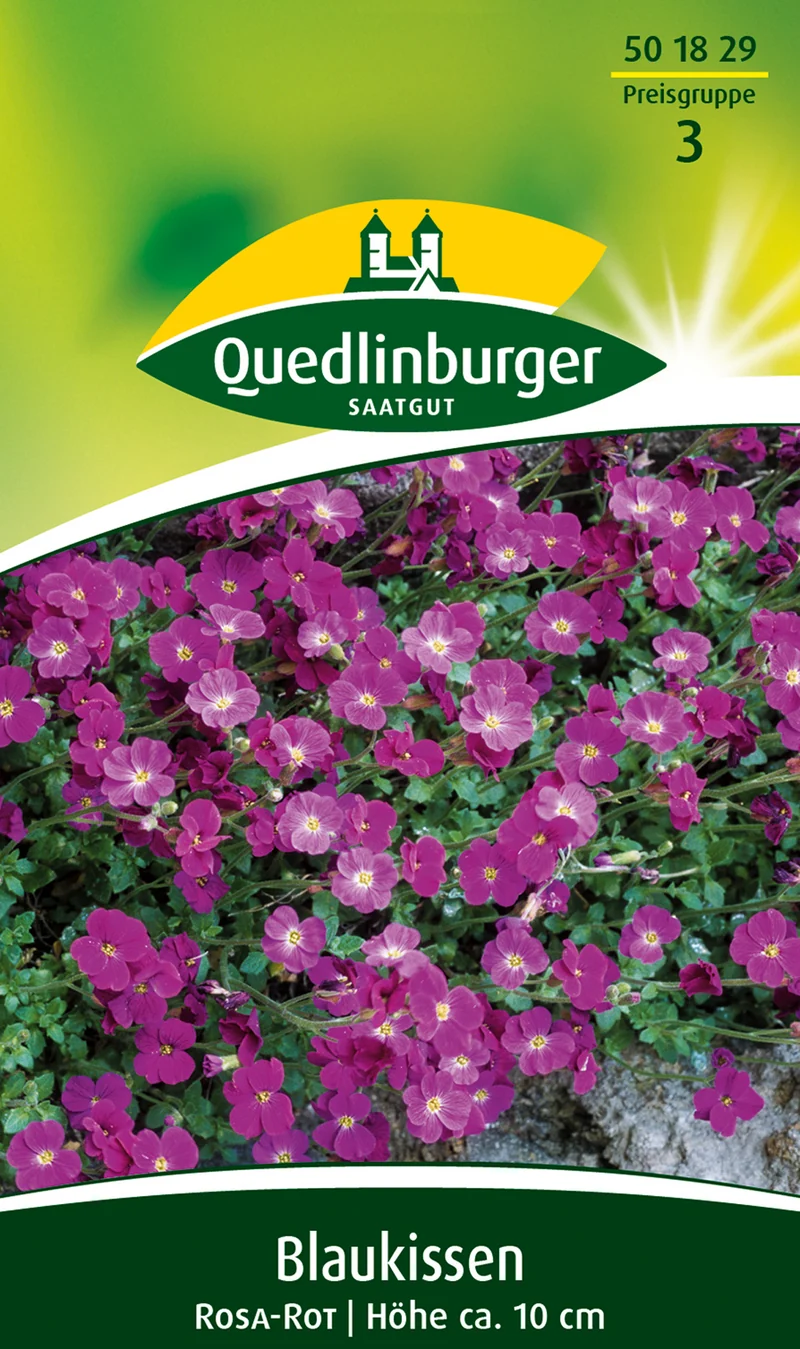 Blaukissen Rosa rot Saatgut