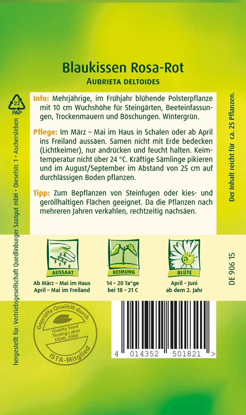 Blaukissen Rosa rot Saatgut