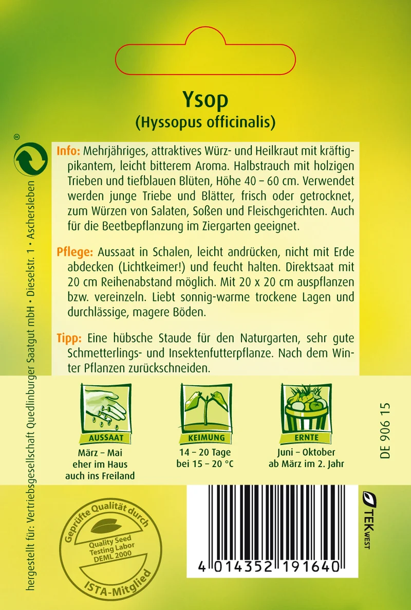 Ysop Saatgut