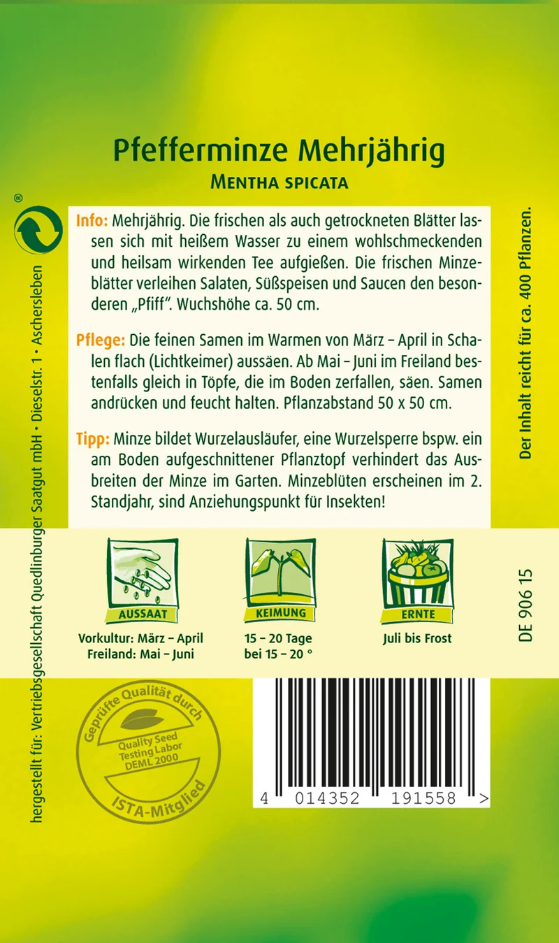 Pfefferminze Saatgut