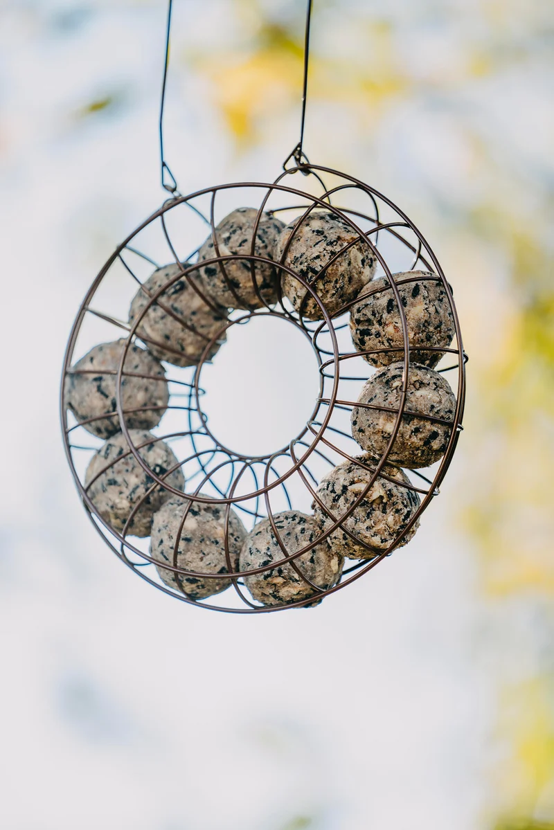 Futterspender für Meisenknödel | Vogelzubehör & Vogelbedarf von Nelson Garden