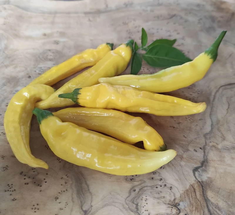 Chili "Hot Lemon" Zitronenchili