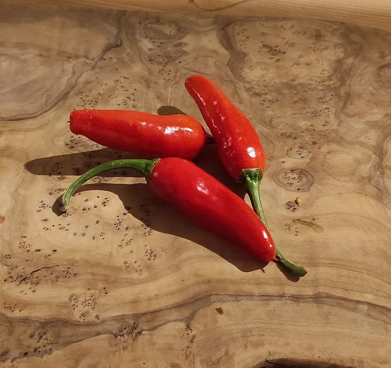 Chili "Hungarian Wax"