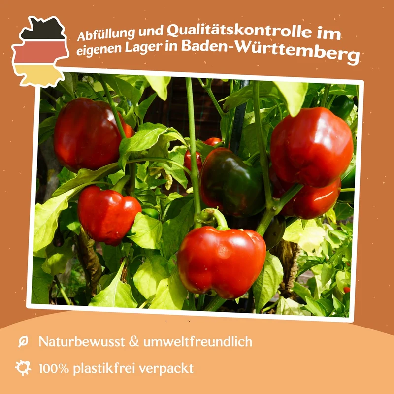 Paprika Granova Samen