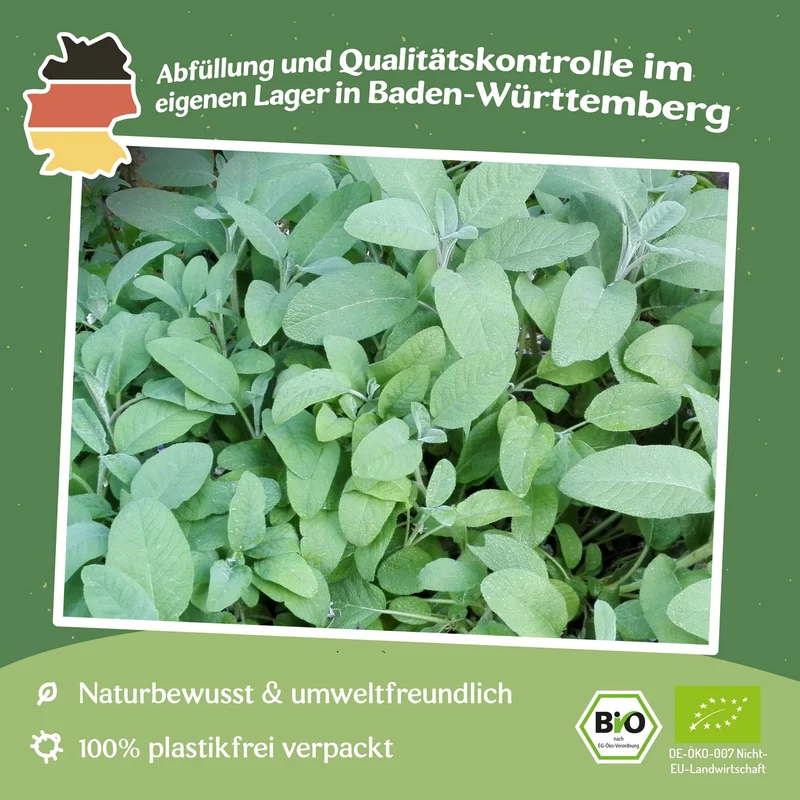 Bio-Salbei Samen, Salvia officinalis