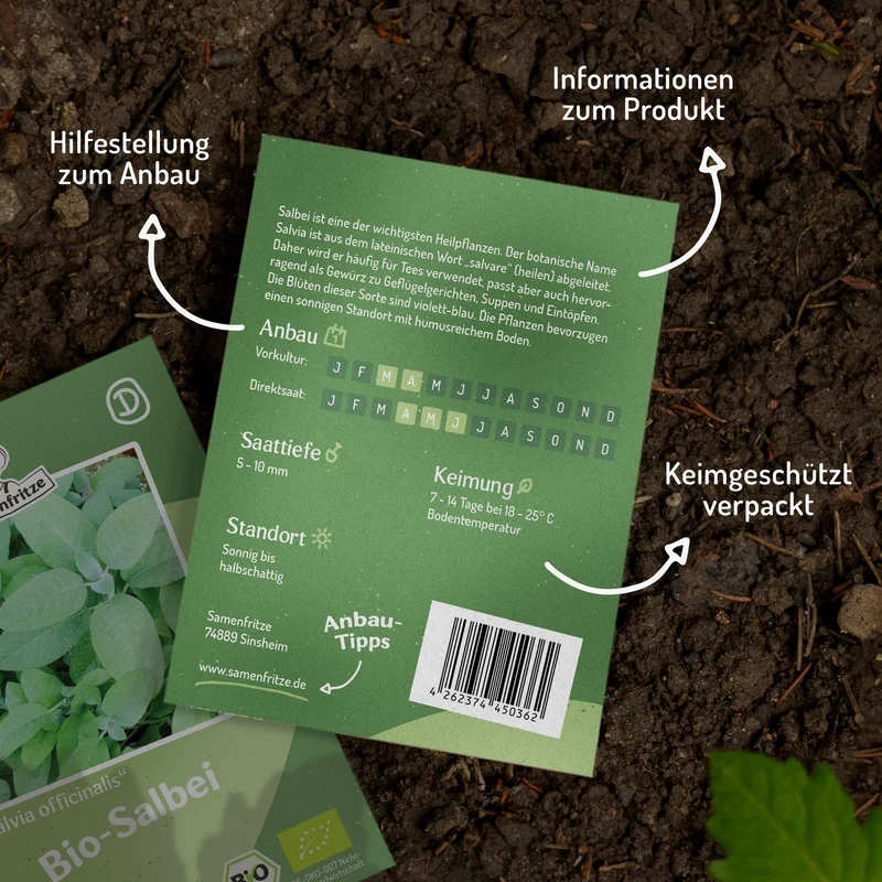 Bio-Salbei Samen, Salvia officinalis