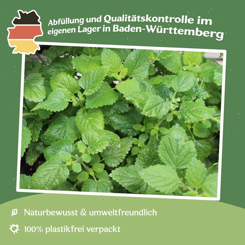Zitronenmelisse Samen, Melissa officinalis MHD 06/27