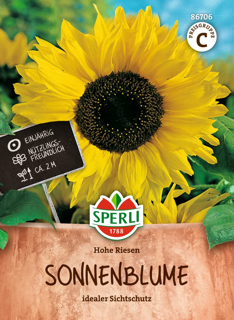 Sonnenblume Hohe Riesen Saatgut