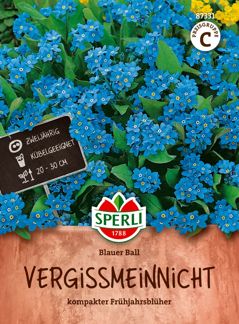 Vergissmeinnicht Blauer Ball Saatgut