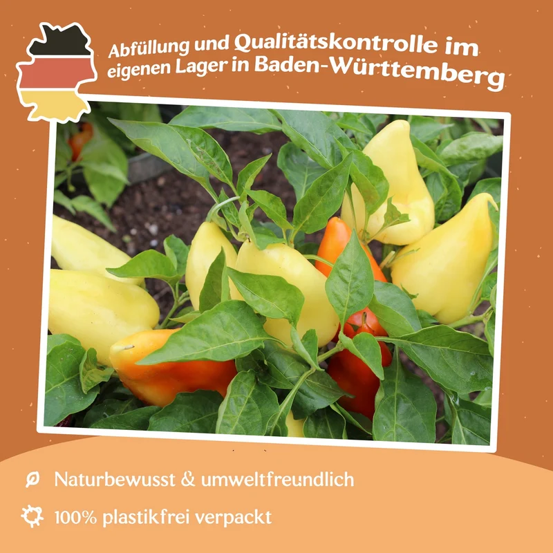 Paprika Mira Samen