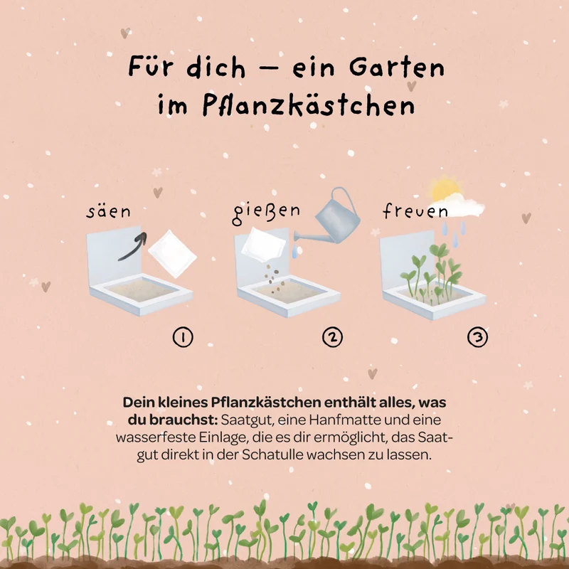 Pflanzkästchen - HDGDL - Hab dich ganz doll lieb