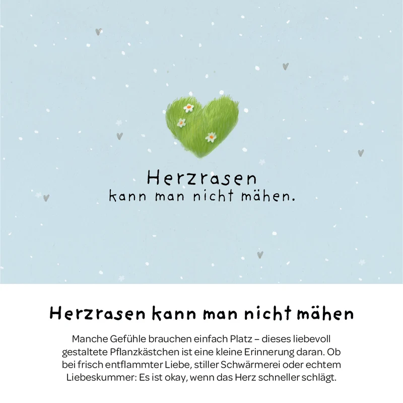 Pflanzkästchen - Herzrasen