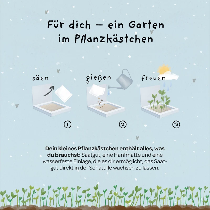 Pflanzkästchen - Herzrasen