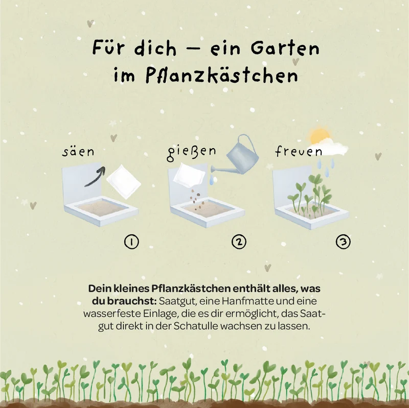 Pflanzkästchen - Viel Erfolg du Glückskind