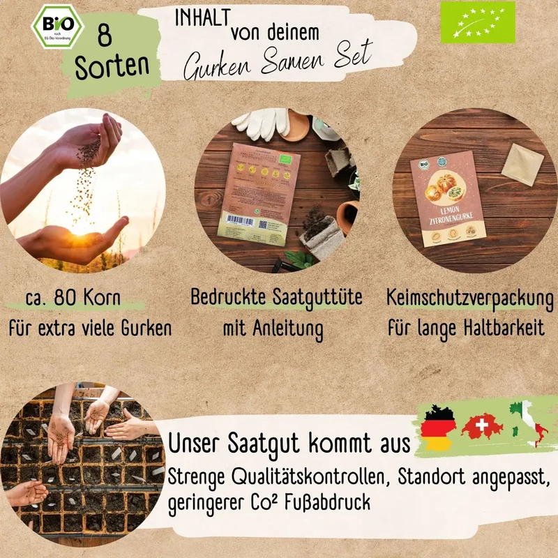 Gurken Starter Set