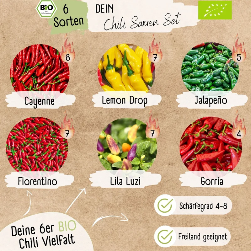 Chili Starter Set