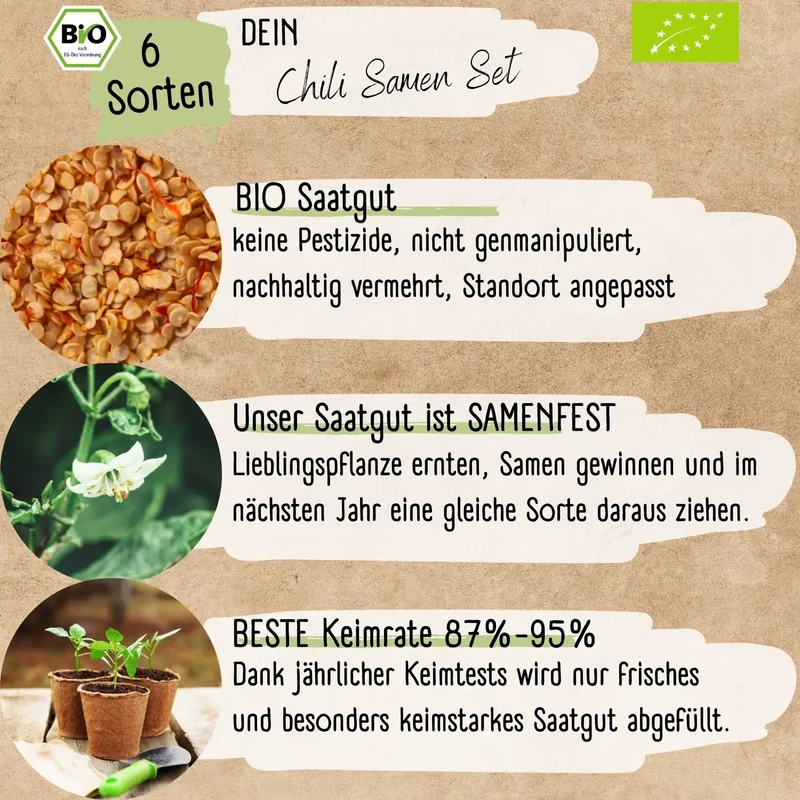Chili Starter Set