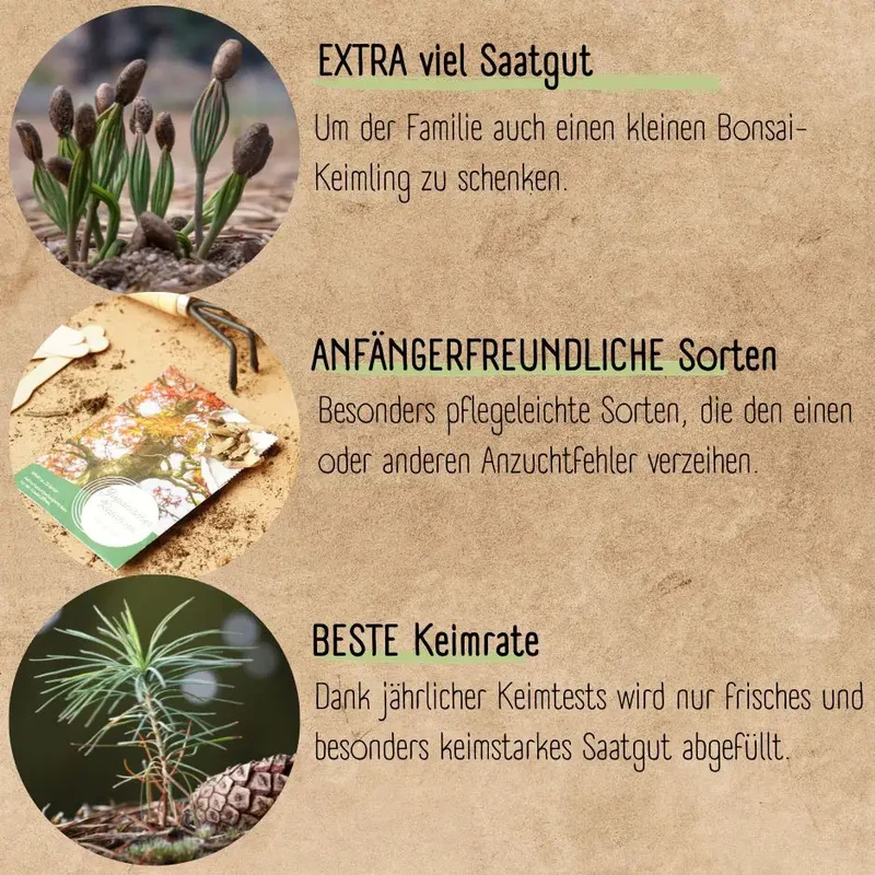 Bonsai Garten Starter Set
