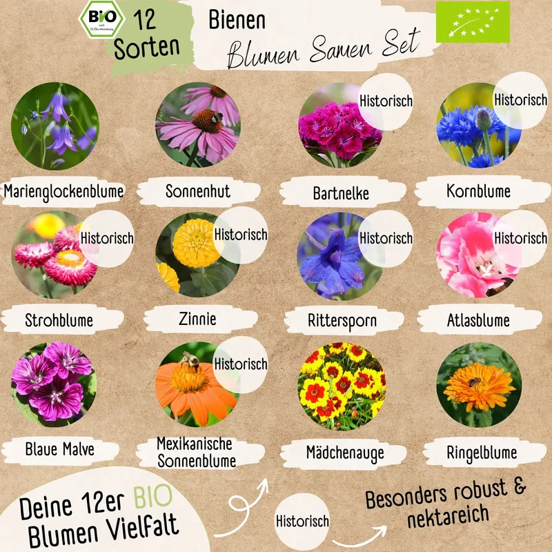 Blumenwunder Samen Sets