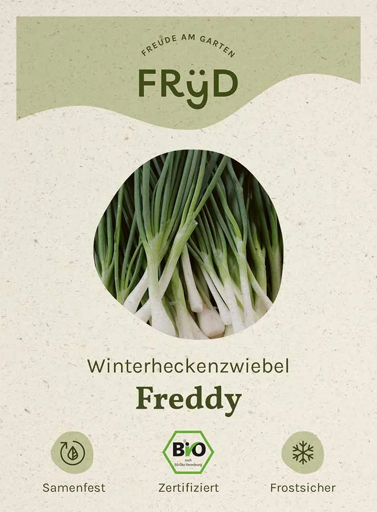 Fryd BIO Winterheckenzwiebel Freddy