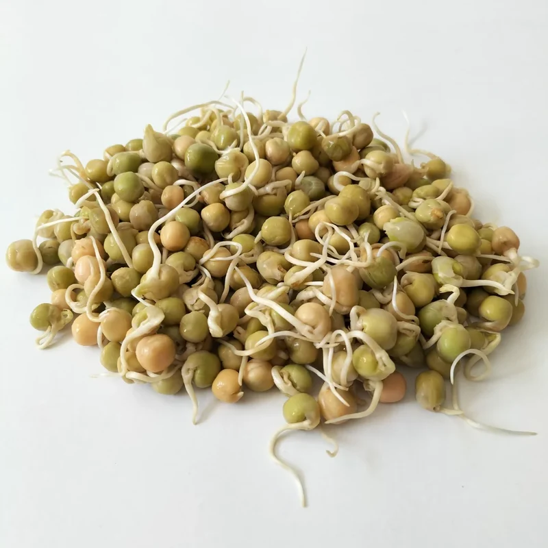 Organic Sprouting Seed: Green Pea