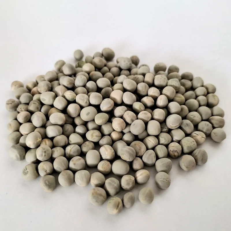 Organic Sprouting Seed: Green Pea