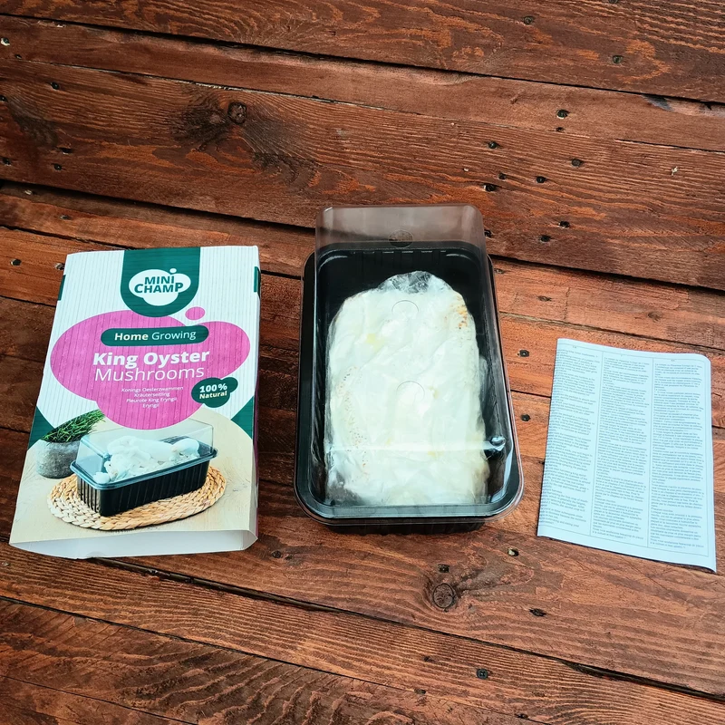 King Oyster Mushroom Grow Kit