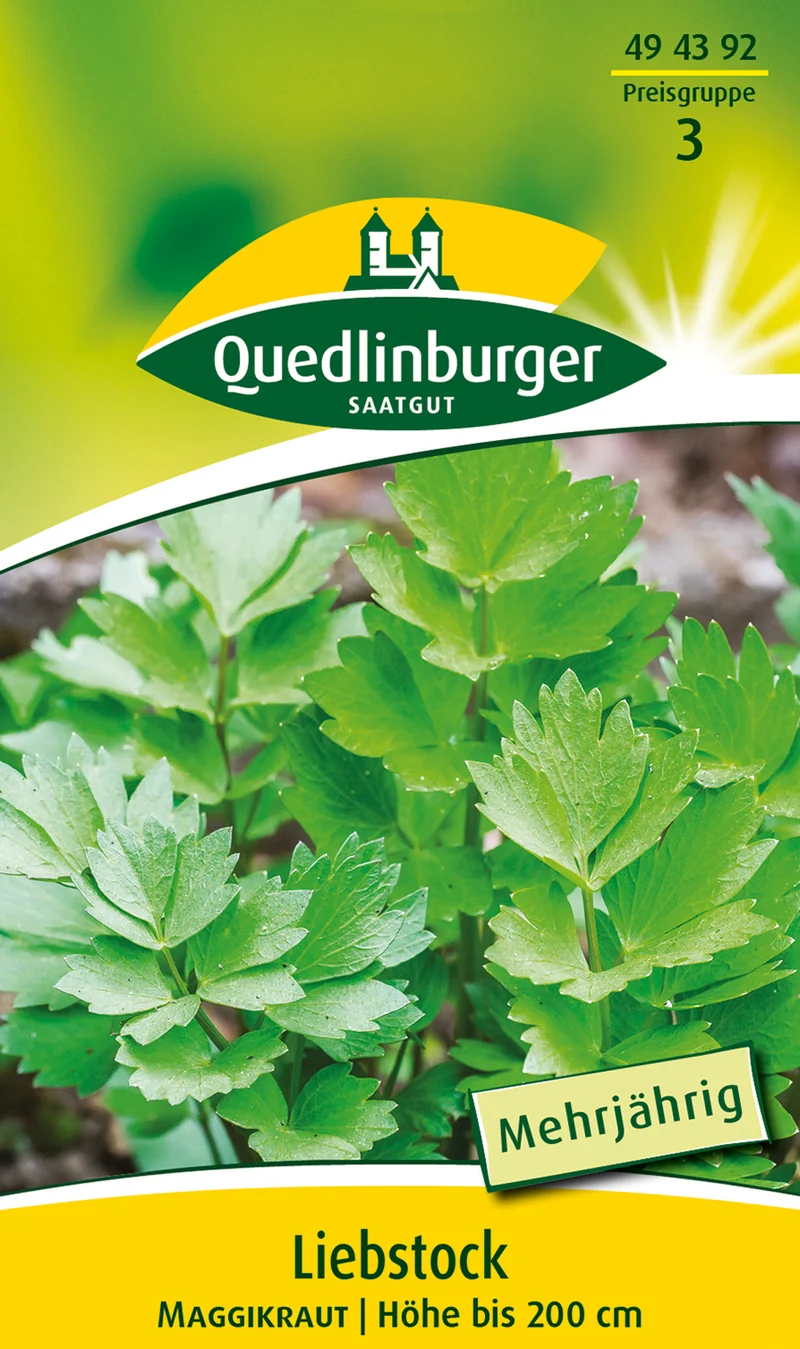 Liebstock Maggikraut Saatgut