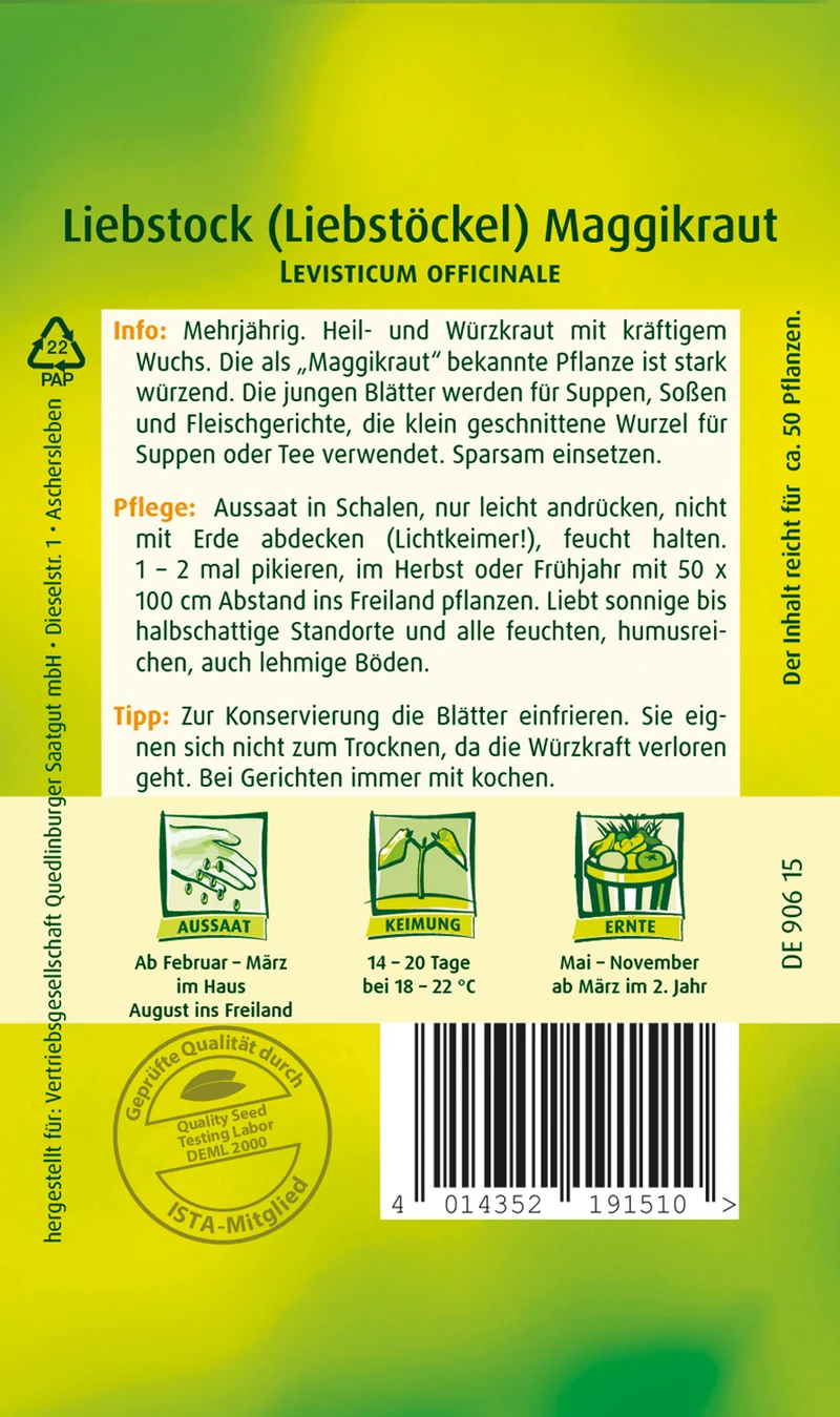 Liebstock Maggikraut Saatgut
