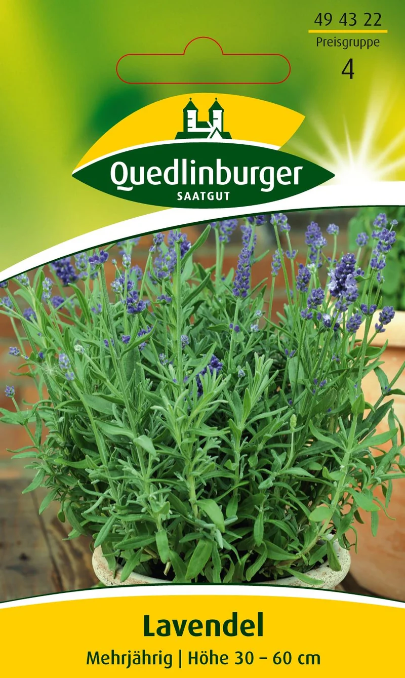 Lavendel Saatgut
