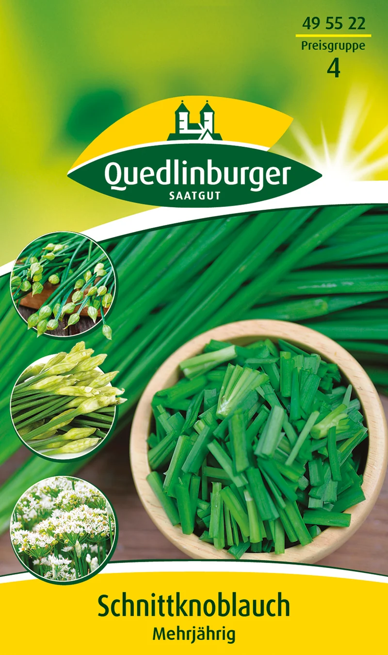 Schnittknoblauch Saatgut