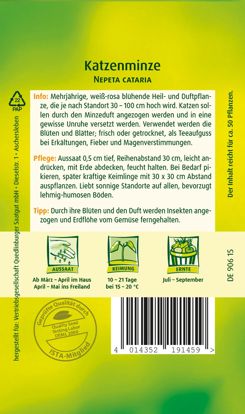 Katzenminze Saatgut