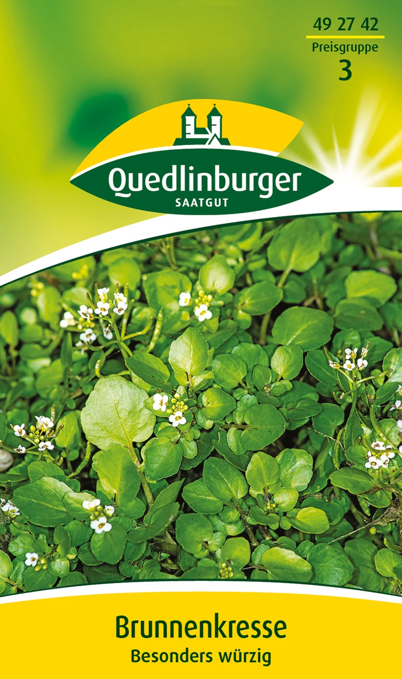 Brunnenkresse Saatgut