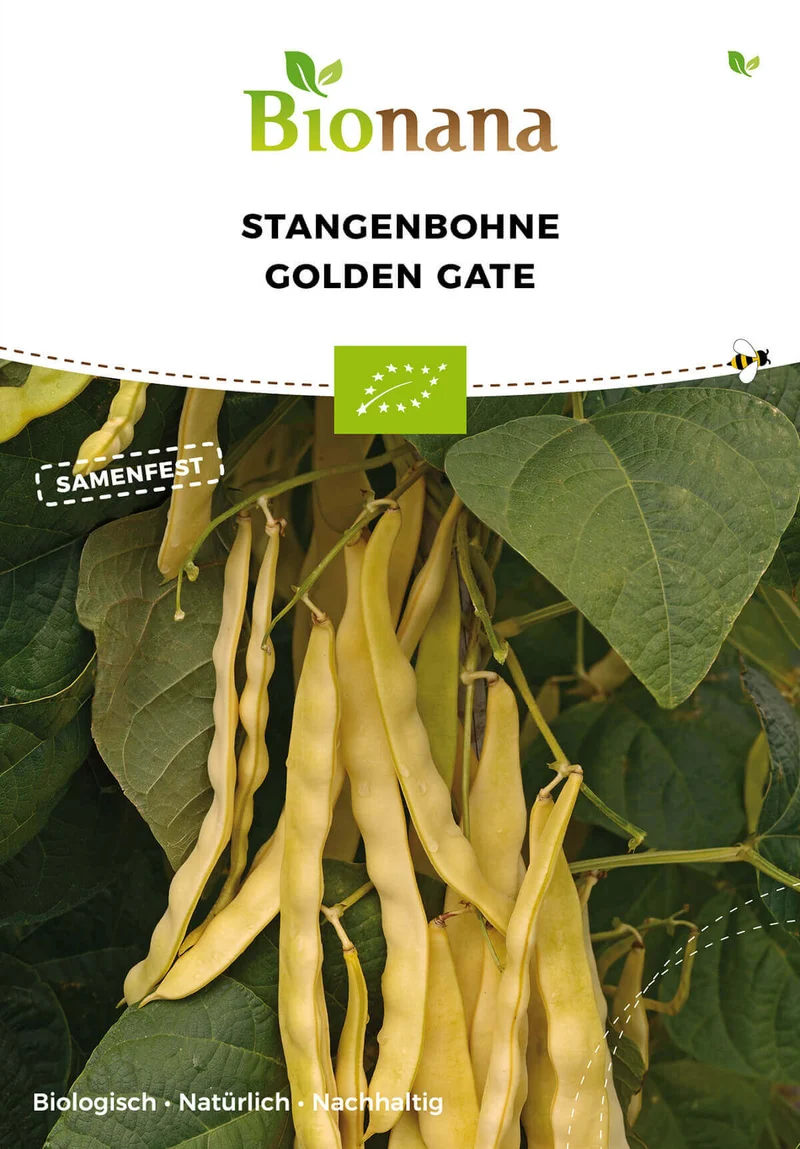 Stangenbohne Golden Gate | BIO Stangenbohnensamen von Bionana [MHD 12/2023]
