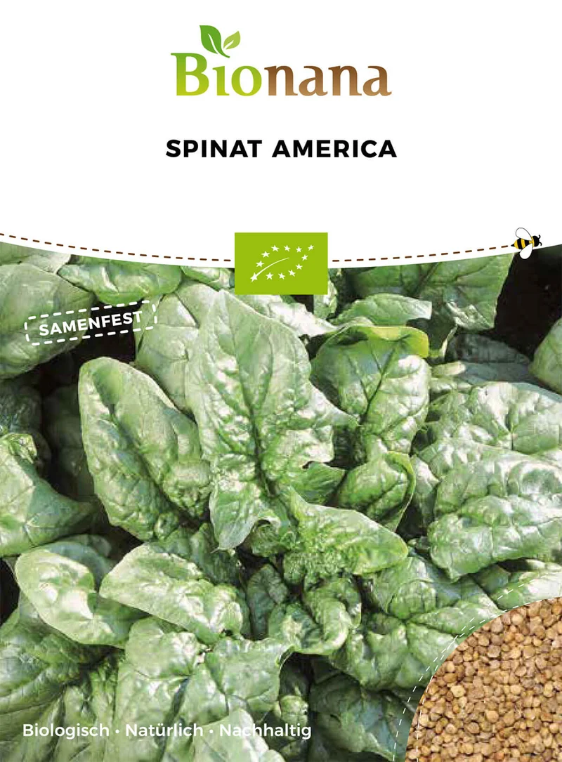 Spinat America | BIO Spinatsamen von Bionana [MHD 12/2024]