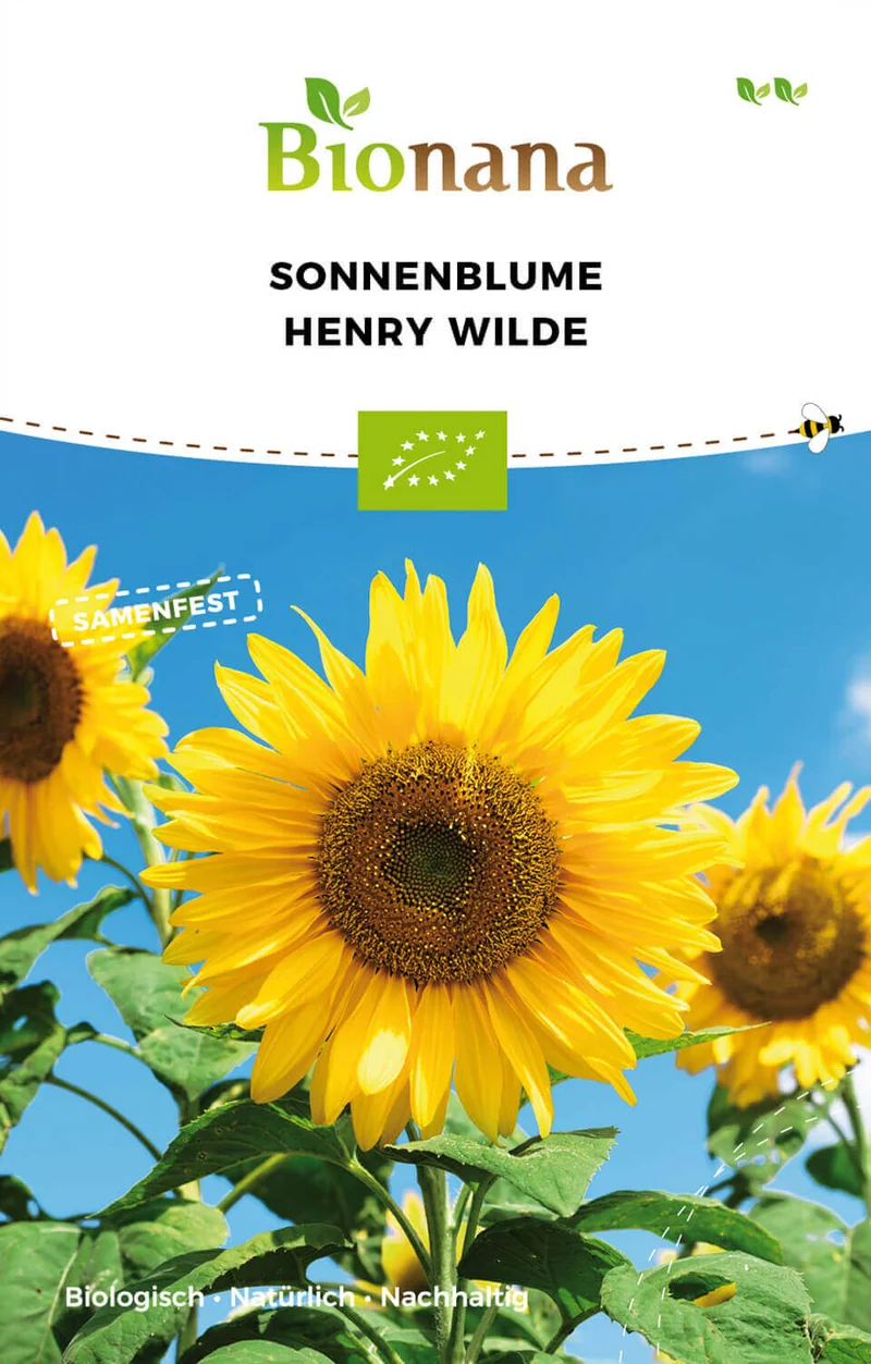 Sonnenblume Henry Wilde | BIO Sonnenblumensamen von Bionana [MHD 12/2023]