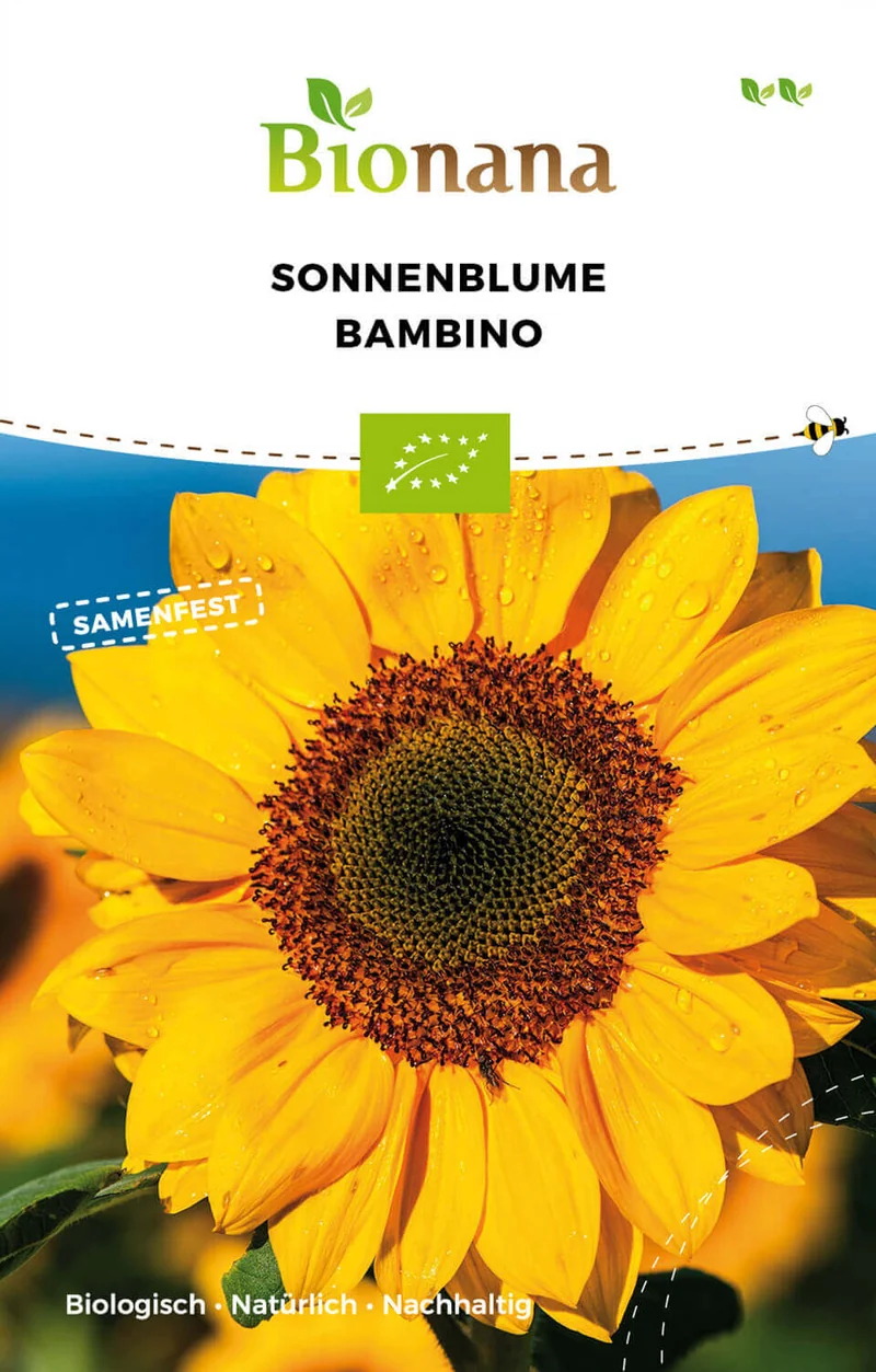 Sonnenblume Bambino | BIO Sonnenblumensamen von Bionana [MHD 12/2023]