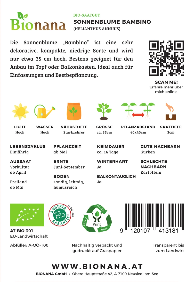 Sonnenblume Bambino | BIO Sonnenblumensamen von Bionana [MHD 12/2023]